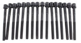 Cylinder Head Gasket set with Head Bolt Kit 2006-2013 Lexus 3.5L