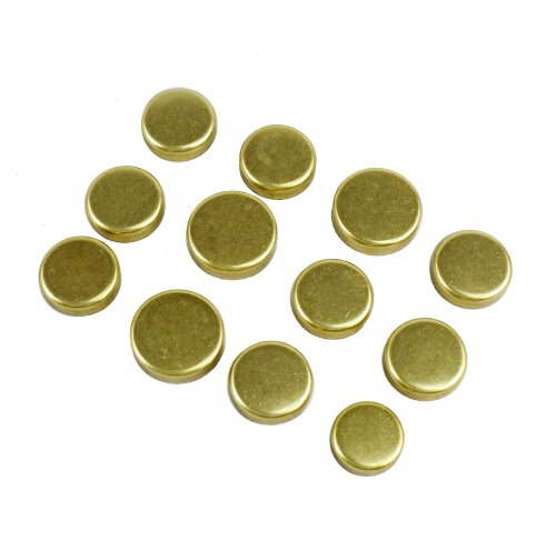 Expansion Plug Kit 1994-2020 Toyota 2.7L