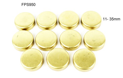 Expansion Plug Kit 1988-2004 Lexus,Toyota 2.5L-3.4L