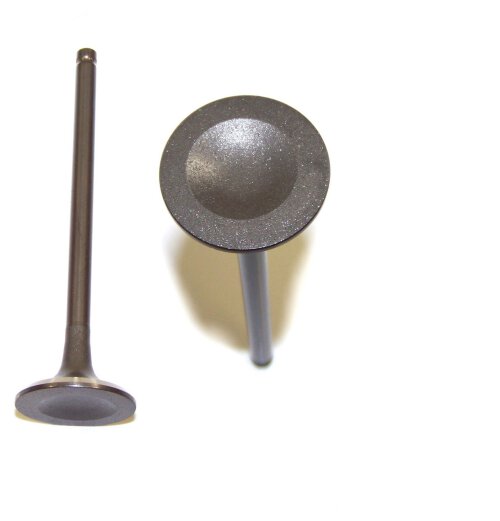 04 Isuzu Axiom Rodeo 3.5L V6 Exhaust Valve EV353A
