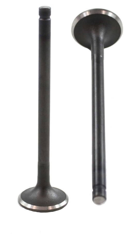 95-98 Mazda Protege 1.5L L4 Exhaust Valve EV433