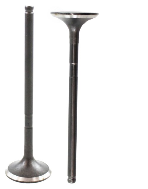 03-16 Toyota 4.0L V6 Exhaust Valve EV969