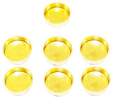 Expansion Plug Kit 1998-2009 Lexus,Toyota 4.7L