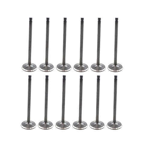 90-93 Geo Isuzu 1.6L Intake and Exhaust Valve Set