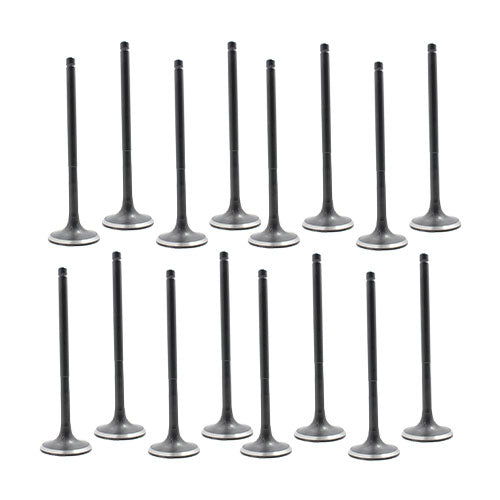 01-16 Ford Lincoln Mazda Mercury 2.0L-2.5L Intake and Exhaust Valve