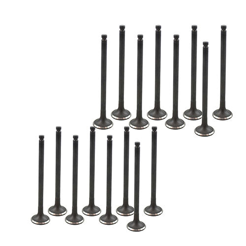 92-95 Kia Mazda 1.6L Intake and Exhaust Valve Set