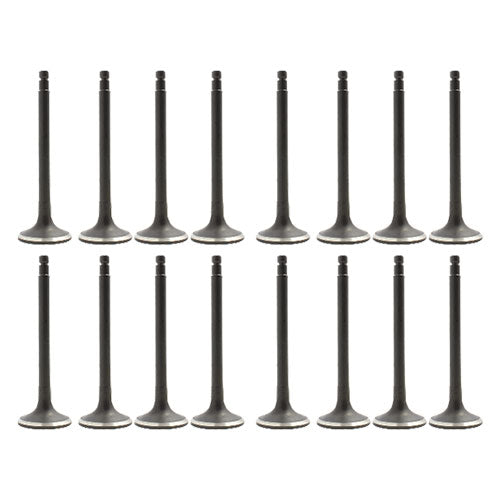 00-01 Nissan 2.4L Intake and Exhaust Valve Set