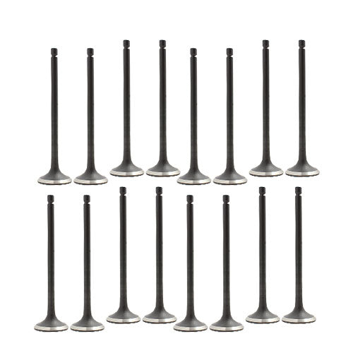 07-16 Nissan 1.8L-2.0L Intake and Exhaust Valve Set