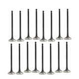 07-16 Nissan 1.8L-2.0L Intake and Exhaust Valve Set