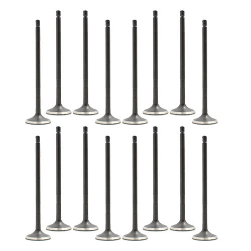 08-15 Lexus Toyota Scion Pontiac 1.8L Intake and Exhaust Valve Set