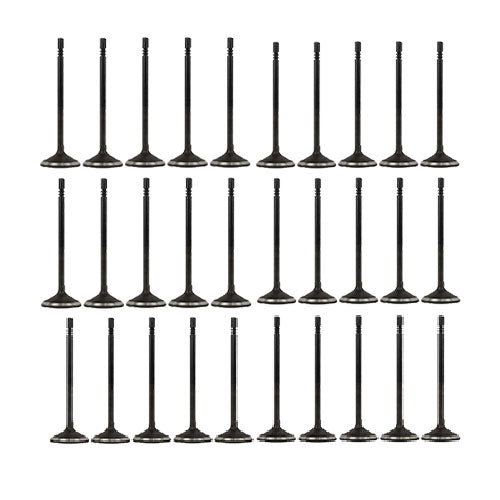 04-15 Ford Lincoln Mercury 4.6L-6.8L Intake and Exhaust Valve Set