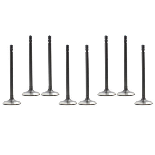 95-01 Ford Mazda 2.3L-2.5L Intake and Exhaust Valve Set